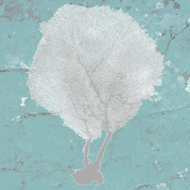 Graphic Sea Fan II - Wrapped Canvas Print, 51cm H x 51cm W