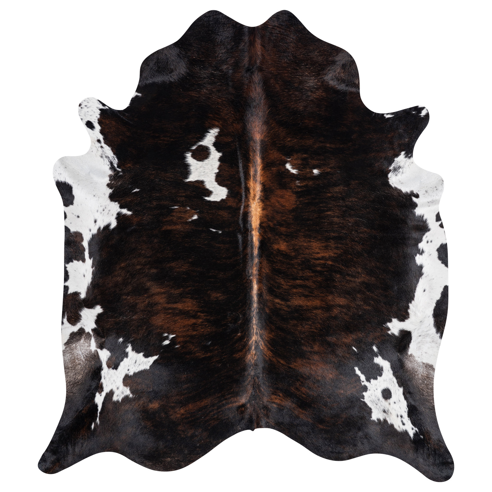 Foundry Select Dark Tricolor Cowhide Rug | Wayfair
