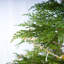Arbre de Noël artificiel de 6 pi avec 6 lumières de Noël et support en métal 6 pi