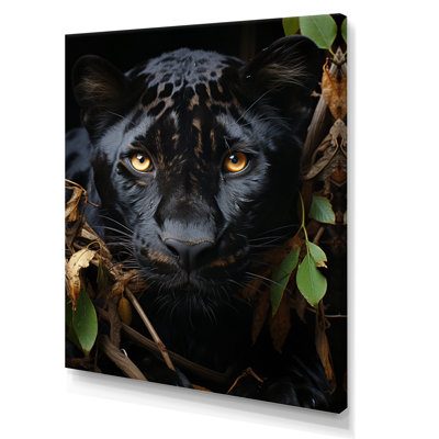 " Black White Animal Panther Portrait I " Color Photography Print