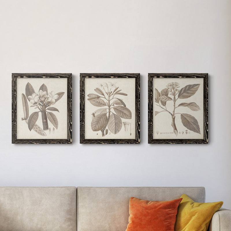 Ensemble de 3 cadres photo sur toile Midnight Tulip V, H 24 po x l 36 po x P 1,5 po, Noir