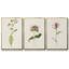 Mauve Garden Flowers IV, ensemble de 3 toiles encadrées sur toile-64058042-64058043