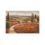 Tuscan Palette by Ruane Manning - Painting on Canvas-101413778-101413779