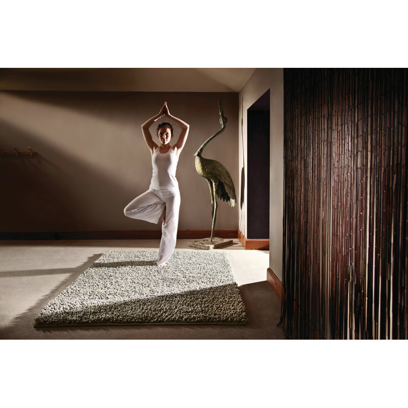 Danika Hand Woven Area Rug, Rectangle 120 x 170