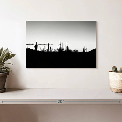 Alvord Black Arizona - Sunset Cactus Skyline