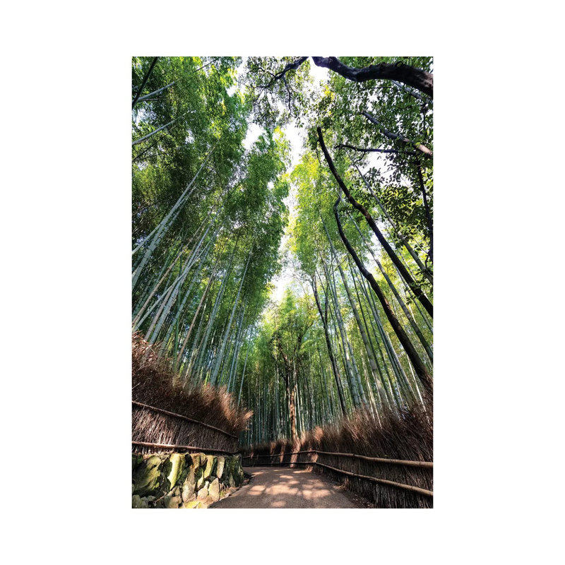 «Kyoto's Bamboo Forest» par Philippe Hugonnard - photographie sur toile tendue, H 12 po x l 8 po x P 0,75 po