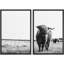 Bouvier noir et blanc Hignland dans une ferme de campagne, animaux sauvages, photographie moderne, rustique, 2 pièces-98109762-98109763