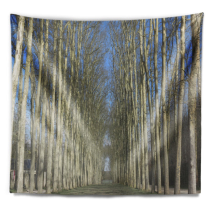 Tapisserie des jardins du château de Versailles, H 32 po x l 39 po