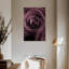 Harnek rose mauve foncé I-115147848
