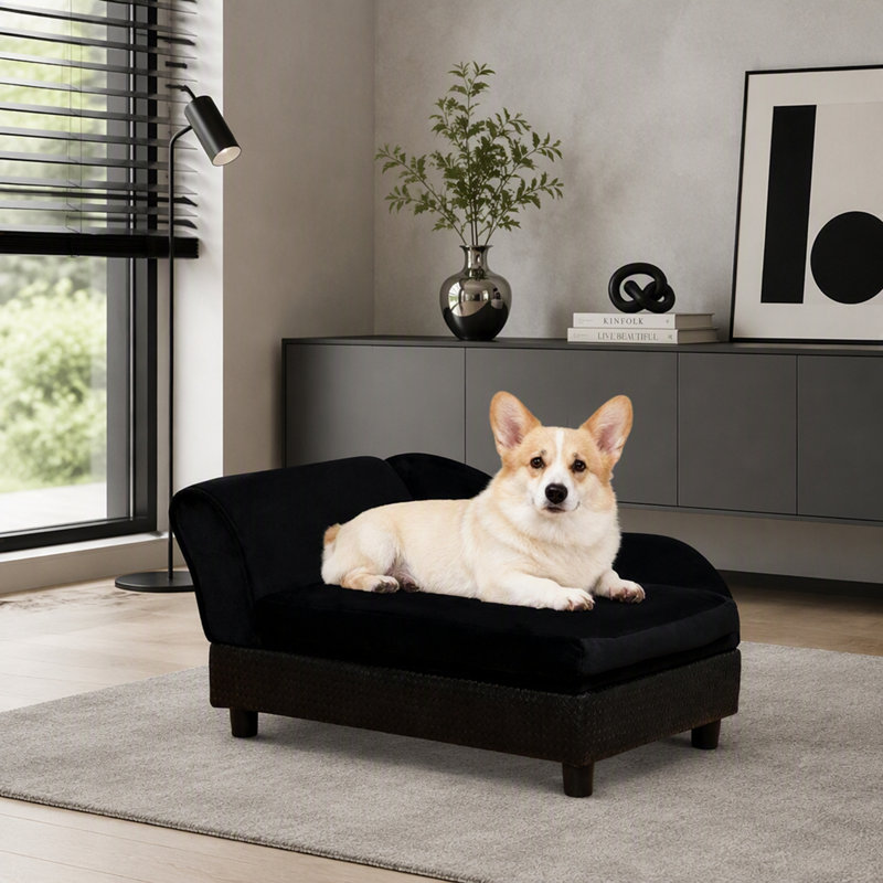 Sofa pour chien avec dossier et rangement, 30, Noir