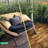 Solid Wood Interlocking Flooring Tiles (Pack Of 10, 12" X 12"), ...