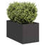 Planter Box-1129984736-1129984738