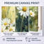 Summer Daisy Glow II - prairie blanche, art mural-681903018-681903024