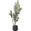 130cm Faux Eucalyptus Tree in Fibrestone Pot-1203865729