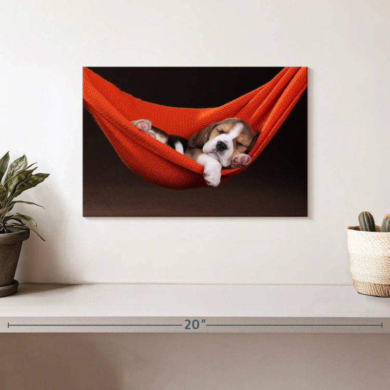 Brampt Beagle In Hammock, 8" H x 12" W