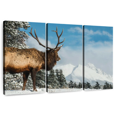 Wapiti Brampt