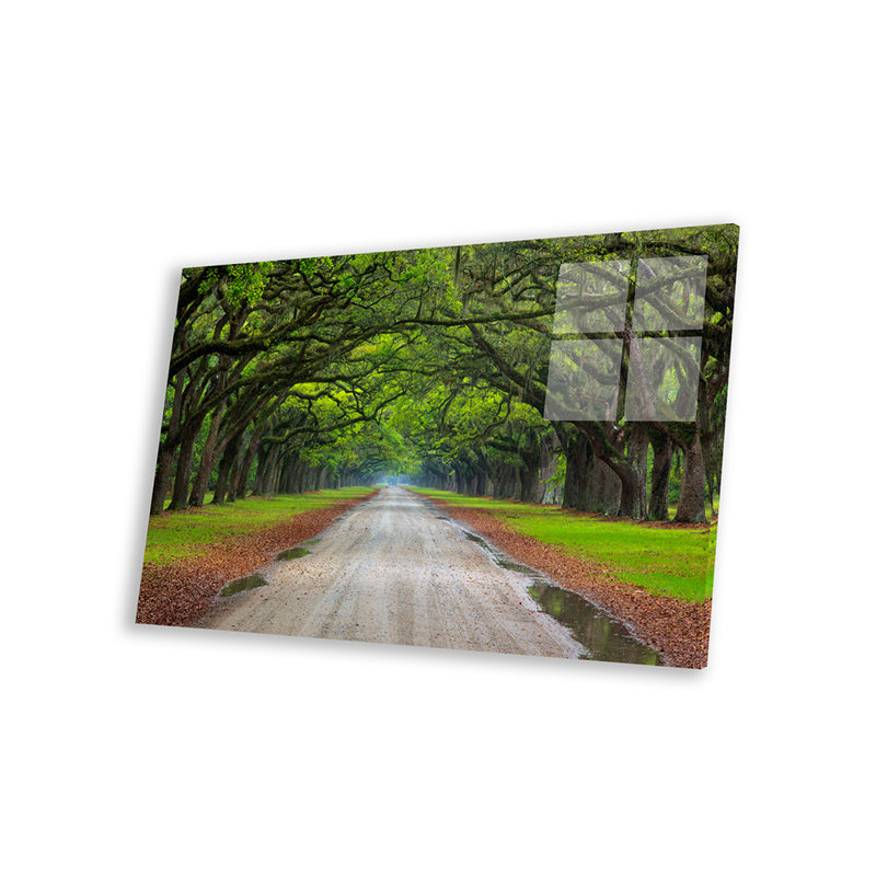 Oak Avenue, Wormsloe Plantation, Savannah, Georgia, USA par Joanne Wells - Photographie sans cadre