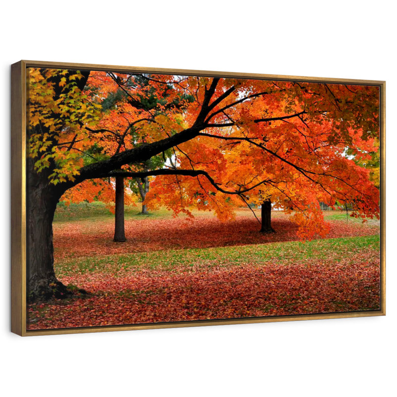 Couleurs d'automne de la Nouvelle-Angleterre, Cadre flottant doré, 40 po x 27 po