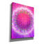 «Flower Of Life» par Cameron Gray, art mural sur toile-577098762