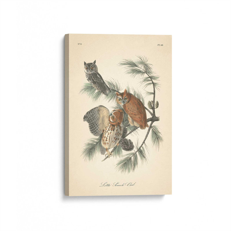 «Woodland Guardians», reproduction sur toile roulée, Toile tendue, 18" H x 12" W x 1.25" D