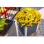 Pot à fleurs surélevé Urbana-48371468