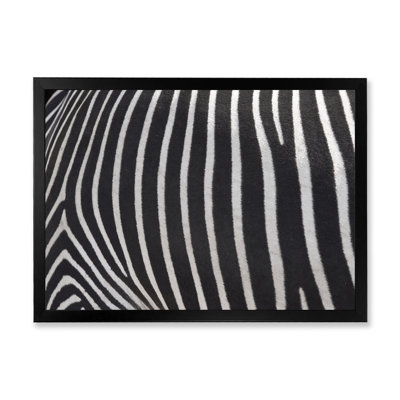 " Detail Of Black And White Zebra Lines IV "
