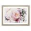 Pink Tipped Rose - Picture Frame Graphic Art Print-56892121-56892118