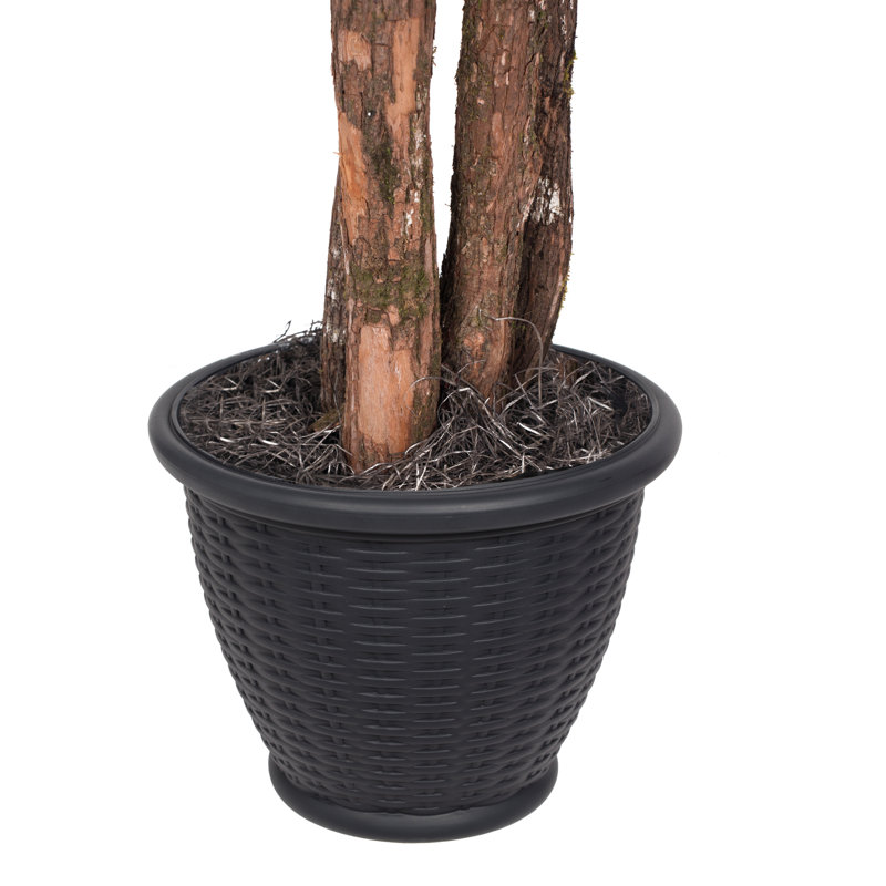 48 " H Faux Tree in Wicker/Rattan Basket
