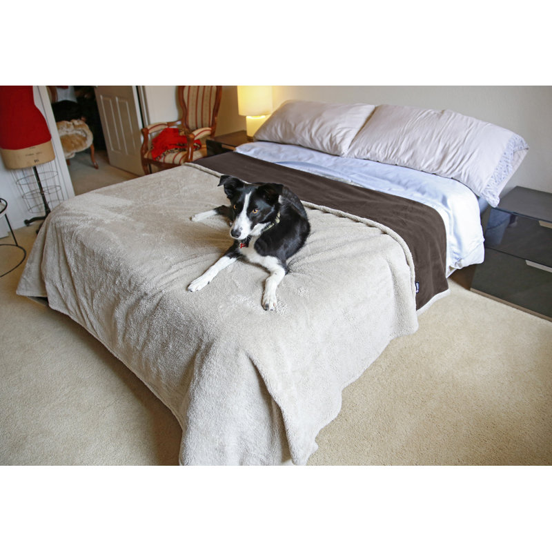 Couverture imperméable pour chiens Catalonia, L 80 po x L 90 po, Brun / taupe