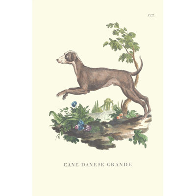 French Dogs I - Wrapped Canvas Painting