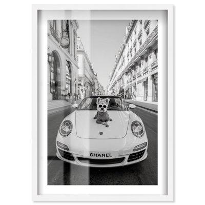 Yorkie Waiting for an Outing Shadowbox Print Fashion Photography by Notoriart, White Frame, 36 x 54