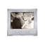 Signature Picture Frame