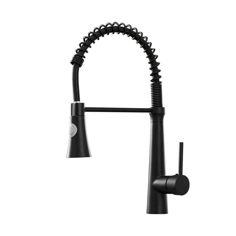 Robinet de cuisine rétractable à une main, Noir mat