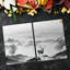 Mushegh Tempered Glass Mountains Deer Chopping Board-1470462317