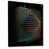 Black Floater Framed Canvas