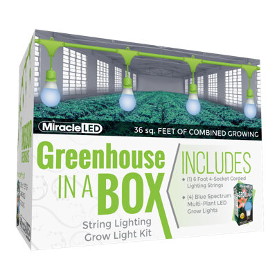 Miracle LED 9 Watt Growing Kit