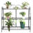 Aliziah Plant Stand