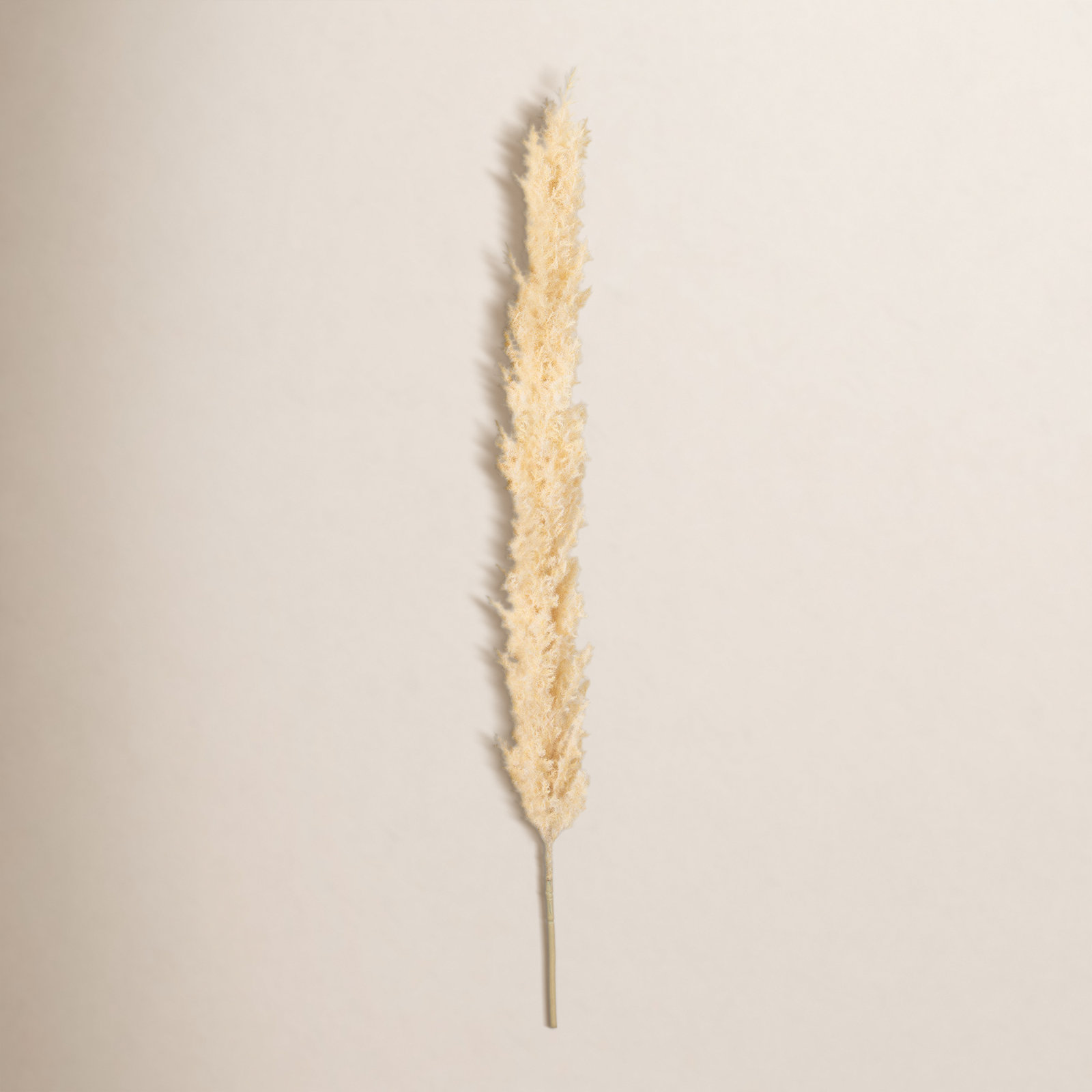 Madie Plume Stems, Off-White