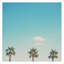 «A Trio of Palm Trees» par Laura Evans - reproduction de photo encadrée-759399822-759399833