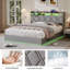Lift Up Storage Bed Frame-34888025-34888026