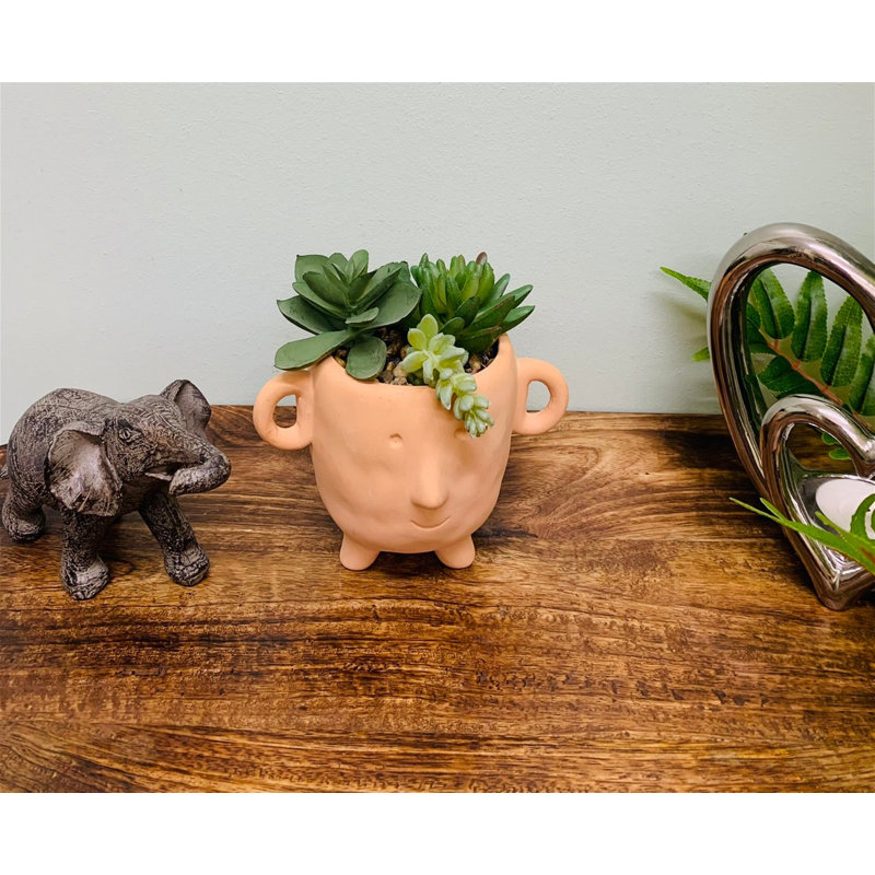 Faux Cactus Plant in Terracotta Pot, 14cm H x 12cm W x 14cm D
