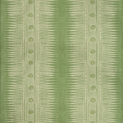 Indian Zag Fabric