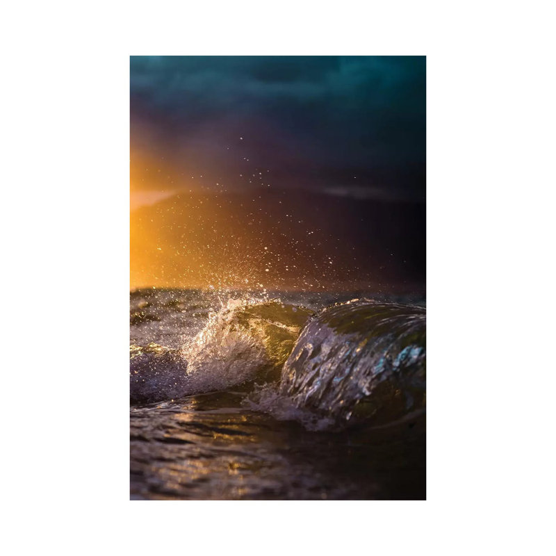 Color Splash by Lucas Moore - Wrapped Canvas Print, 20.32 cm H x 30.48 cm W