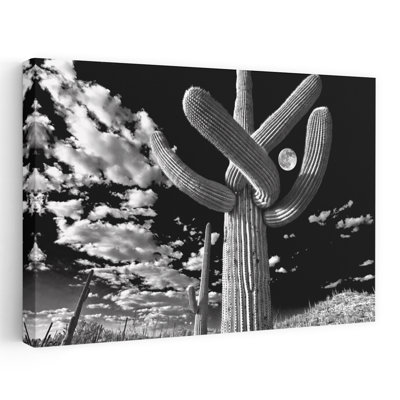 Vue en contre-plongée d'un cactus Saguaro, Carnegiea Gigantea, Tucson, Pima County, Arizona, États-Unis, abstrait, cactus contemporain, paysage, art naturel