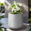 Grand pot à fleurs Brenno-310169914-310169912