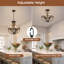 4-Light Empire Chandelier
