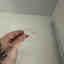 Photos des clients 1 de 3