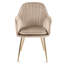 Taraji 46cm H Velvet Upholstered Metal Armchair-22261460-22261463