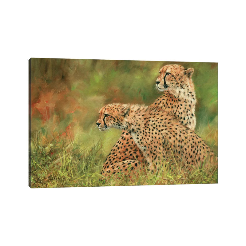 Pair Of Cheetahs by David Stribbling - Wrapped Canvas Print, 101.6 cm H x 66.04 cm W x 1.91 cm D