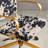 Ramiro Executive Chair-1259366653